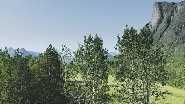 Mountains and forest valley aerial view landscape in northern Norway Travel destinations Reisa national park nature scenery ecology concept