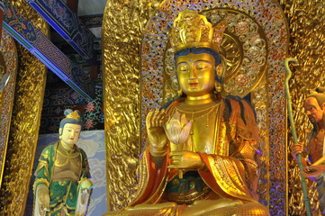 Obraz premium buddha statues in golden color