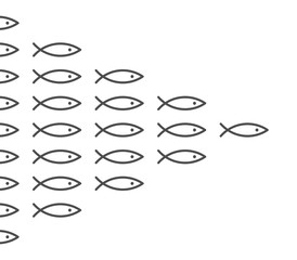Shoal of identical fish
