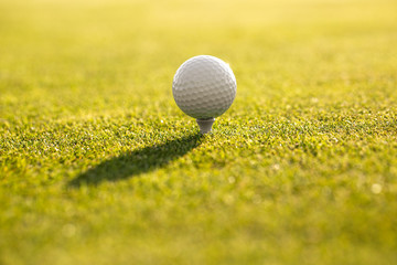 Closeup of golf ball on the grass, ready for playing professional golf