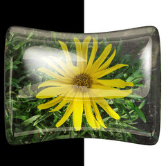 3D Glossy pillow button with real flower