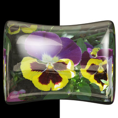 3D Glossy pillow button with real flower