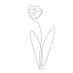 Spring flower continuous line drawing. Vector illustration