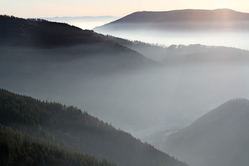 Nebel im TalSchwarzwald