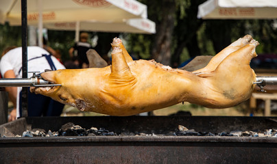 grilled pig killed for feed people in food court of some outdoor summer festival, food concept picture