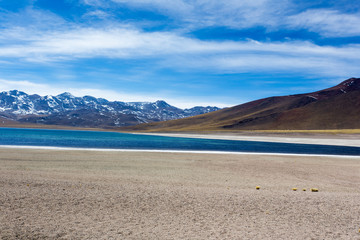 A beautiful view of laguna altiplanica