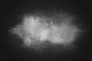  Vector realistic isolated smoke effect for decoration and covering on the transparent background. © Rudzhan