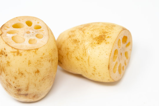 蓮根 の画像 8 846 件の Stock 写真 ベクターおよびビデオ Adobe Stock