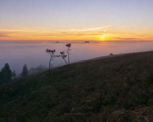 Obraz premium le brouillard dans la montage
