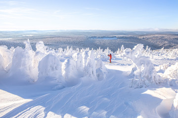 Ski in Winter Landscape