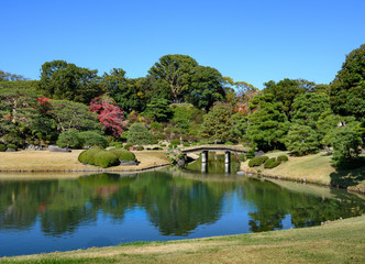 Fototapeta premium Autumn landscape in Tokyo garden.