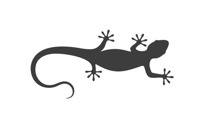 Lizard logo.  Isolated lizard on white background