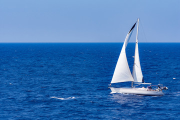 White Boar Surfing in Aegean Sea Near Santorini