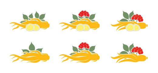 Naklejka premium Ginseng logo. Isolated ginseng on white background