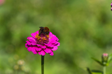 Alto Adige Nature Outdoor sunny day