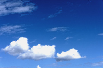 夏雲
