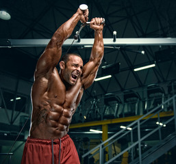 Bodybuilder Doing Triceps Exercise in the Gym