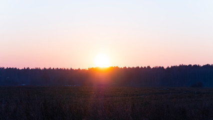 Sunset or sunrise. Nature background. Natural sunrise over the crowns of coniferous forest and field. For design. Sun over the horizon.Summer, spring or autumn season. 