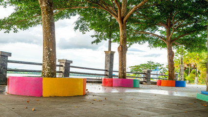 Fototapeta premium Trees surrounded with colorful concrete in the park in the riverbank