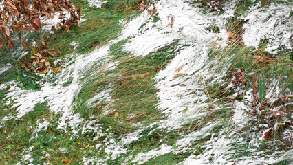 Snowfall. Snow covered the grass. Early arrival of winter. Heavy winter snowfall in the city, blizzard, in autumn or spring. Winter snow, blizzard in the city. Closeup.Windy and cold weather.