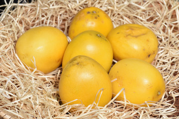 フルーツトケイソウ