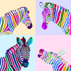colorful set zebra pop art portrait vector ilustration can be used to design for T-shirt, card, poster, invitation. Vector illustration - obrazy, fototapety, plakaty
