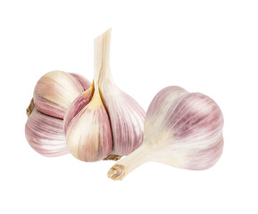 Obraz premium Garlic isolated on white background with clipping path