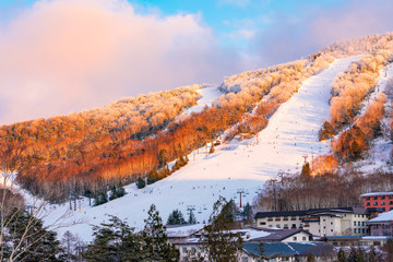 志賀高原スキー場（2020年1月）・風景物語（志賀高原の冬）