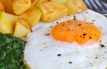 Bratkartoffeln Spiegelei Spinat