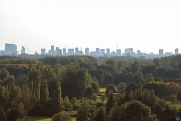 Skyline of Rotterdam, Netherlands on a sunny autumn afternoon