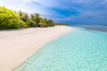 Idyllic summer beach scenery, Maldives island coastline with palm trees over white sand under blue sky