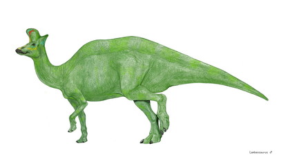 ランベオサウルスはカモノハシ竜の仲間では最大級。全長は17メートルに達するものもいた。巨体であったために、体色は比較的地味であったと推測する。他のランベオサウルス亜科の草食恐竜と同じく頭頂部に変わった鶏冠があったと思われ、その形状は幼体やオス、メスの違いがあり、鶏冠の中の鼻腔につながる2本の空洞を共鳴させ、鳴き声を発したと思われる。白亜紀後期の北米に生息した。