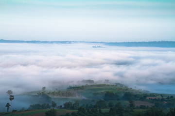 view of mist in forest mountain