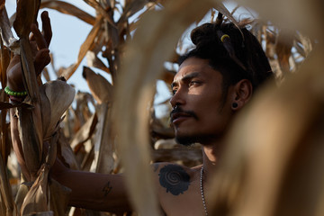 Authentic outdoor shot of gorgeous shirtless male artist with many interesting tattoo on fit tanned body, posing gracefully on corn field, wears dreadlocks and piercing. Fashion and beauty concept.