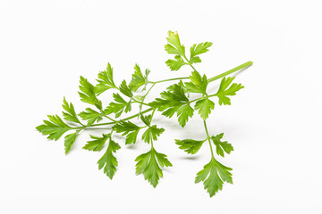Fresh Parsley isolated on white background