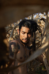 Authentic outdoor shot of gorgeous shirtless male artist with many interesting tattoo on fit tanned body, posing gracefully on corn field, wears dreadlocks and piercing. Fashion and beauty concept.