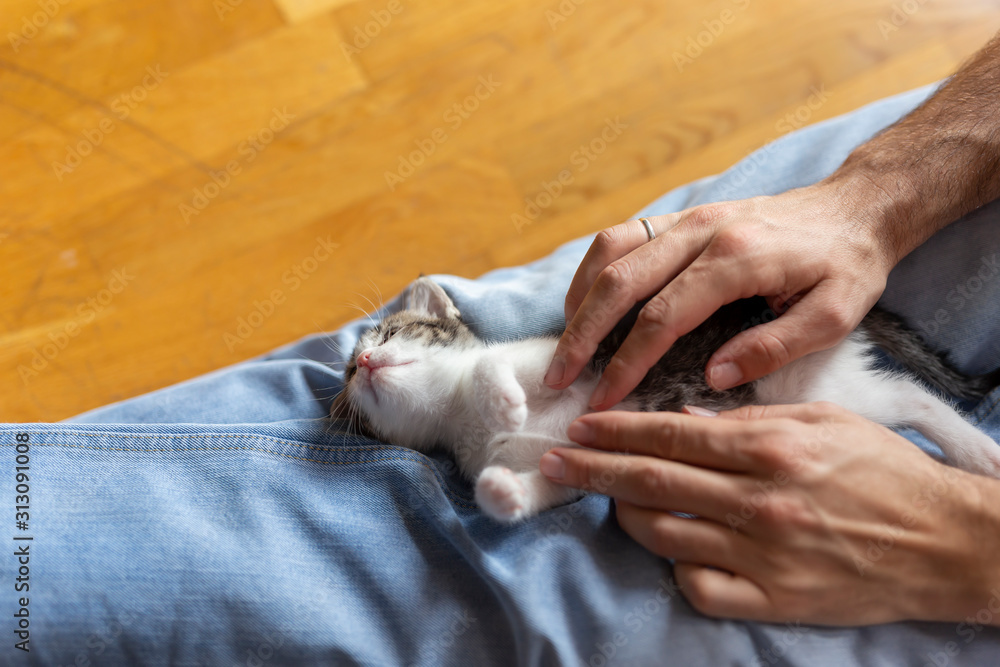 Sticker woman cuddling a kitten