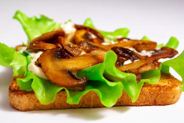 Bread toast with green leaves salads fried mushrooms and white sauce on a white background