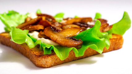 Bread toast with green leaves salads fried mushrooms and white sauce on a white background