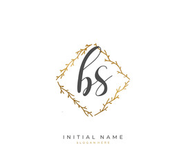 Handwritten letter B S BS for identity and logo. Vector logo template with handwriting and signature style.