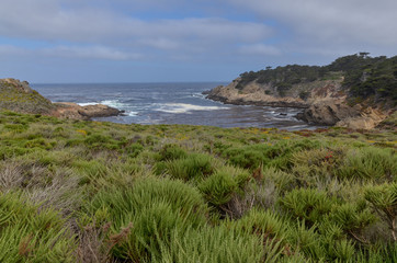 Fototapeta na wymiar Headland Cove at Point Lobos State Natural Reserve (Carmel-by-the-sea, California, USA) 