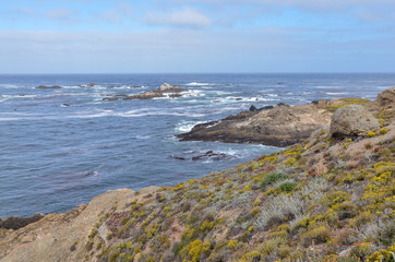 rocks at Sea Lion Point in Point Lobos State Natural Reserve (Carmel-by-the-sea, California, USA) 