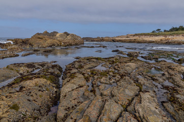 Fototapeta na wymiar rocks in Sand Hill Cove at low tide (Point Lobos State Natural Reserve, Carmel-By-The-Sea, California)