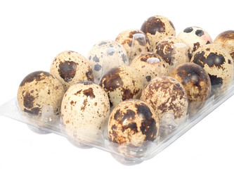 Obraz premium Raw quail eggs on white background