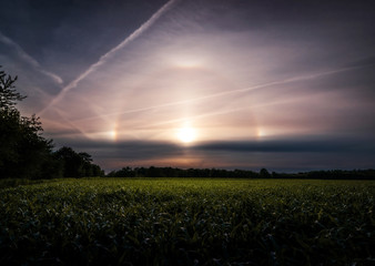 halo effect