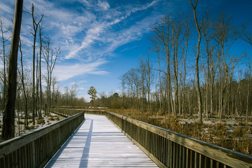 Fototapeta premium frozen boardwalk after a january ice and snow storm in the north carolina piedmont