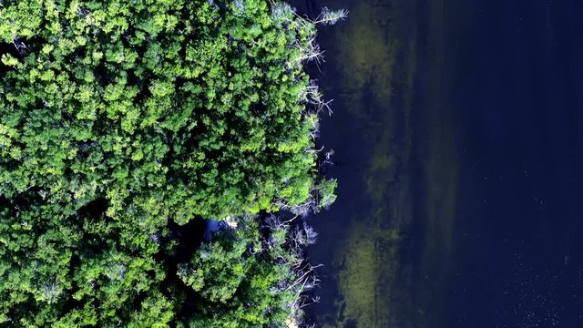 4k aerial of a tropical coastline with trees and dark water shot at night with hasselblad drone camera