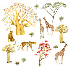 Watercolor set. African animals and trees. Savannah, giraffes, cheetahs and baobab. Isolated illustration on the white background. 