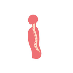 Isolated backbones icon vector design