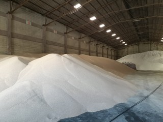 Chemical fertilizer piles in the warehouse are waiting for the delivery of the type of bulk.